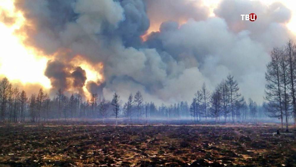 В Красноярском крае введён режим ЧС из-за природных пожаров