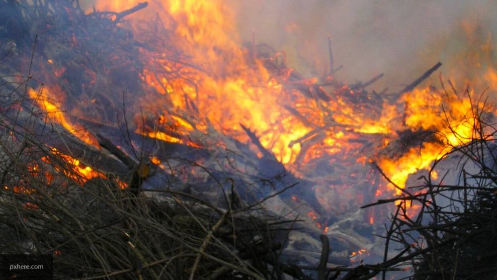 Спасатели пытаются не допустить распространения огня в Забайкалье из-за обрыва ЛЭП