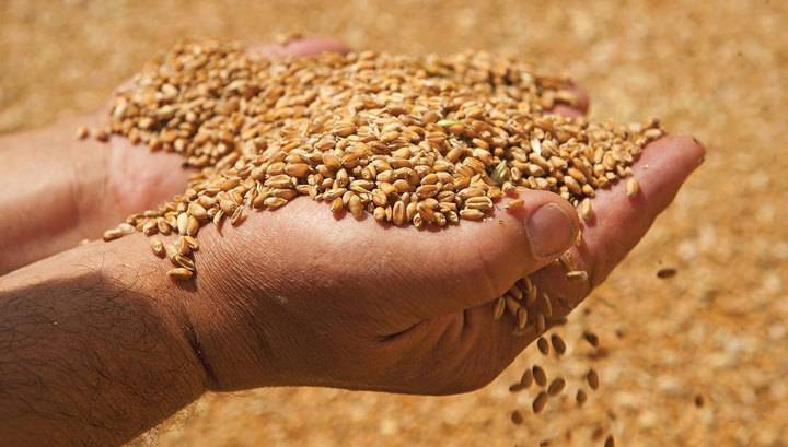 Россия приостанавливает экспорт зерновых