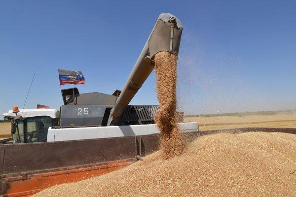 До 1 июля Россия будет экспортировать зерновые только в страны ЕАЭС