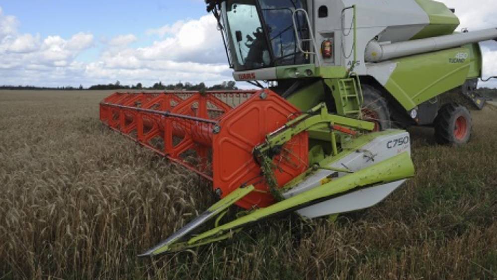 Россия приостанавливает экспорт зерна до 1 июля