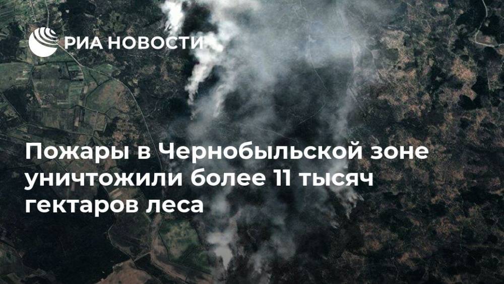 Пожары в Чернобыльской зоне уничтожили более 11 тысяч гектаров леса