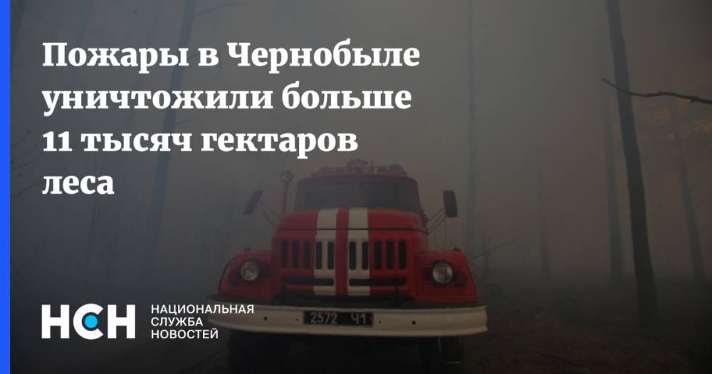 Пожары в Чернобыле уничтожили больше 11 тысяч гектаров леса
