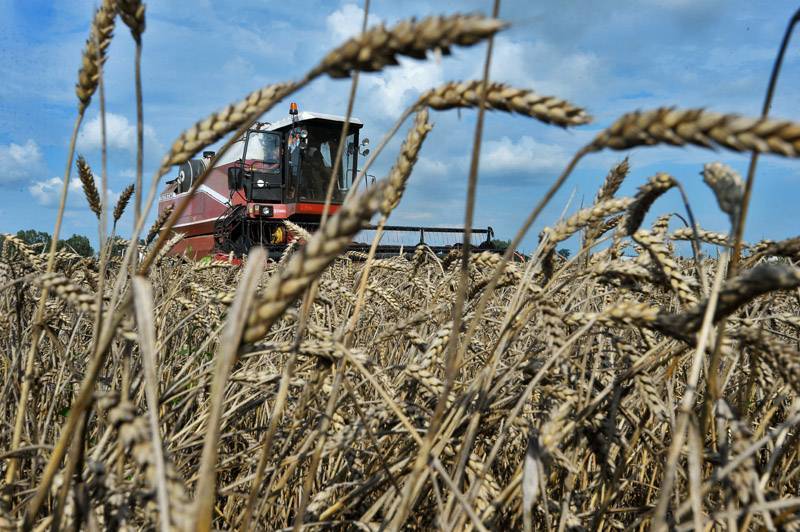 Россия прекратила экспорт зерна