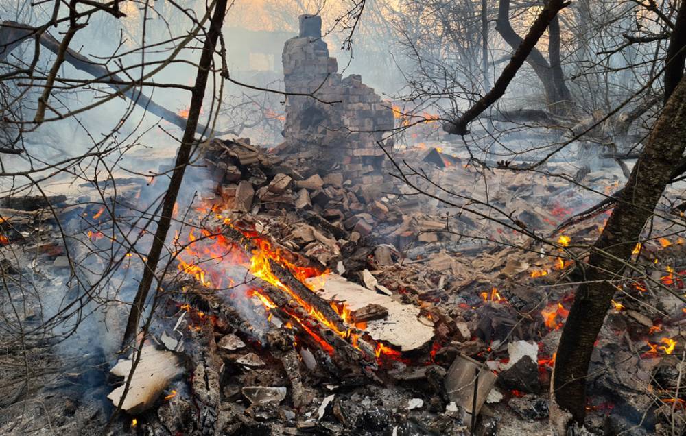 Украина заявила о ликвидации очагов возгорания в Чернобыльской зоне