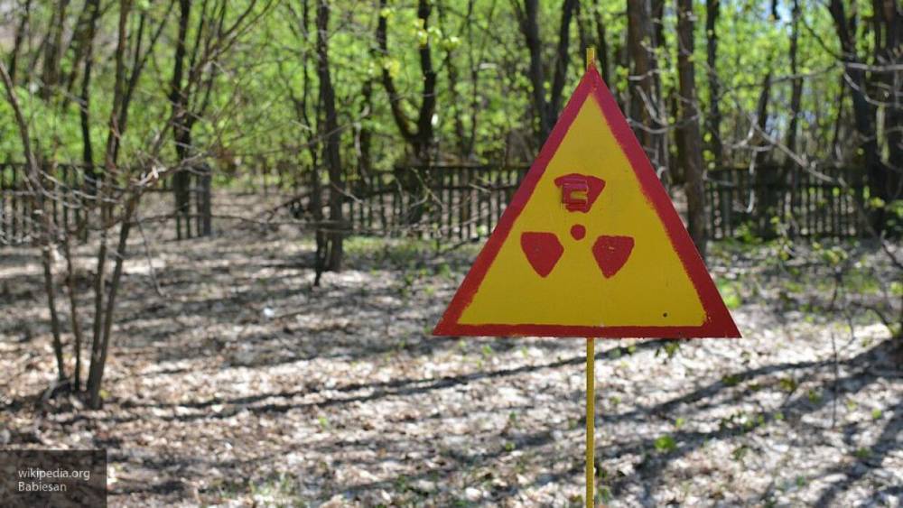 Спасатели потушили все источники огня в Чернобыльской зоне