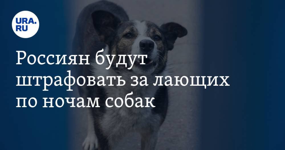 Россиян будут штрафовать за лающих по ночам собак