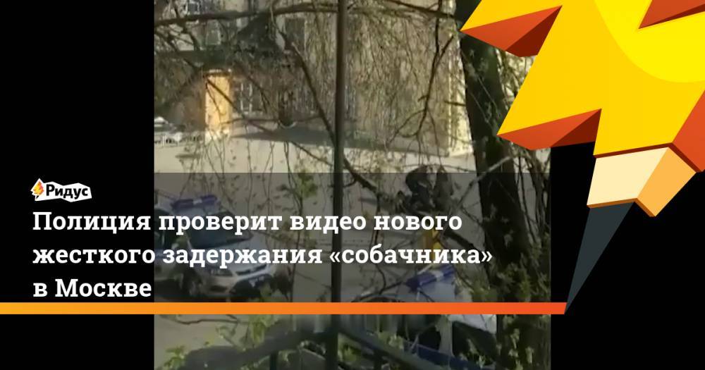 Полиция проверит видео нового жесткого задержания «собачника» в Москве