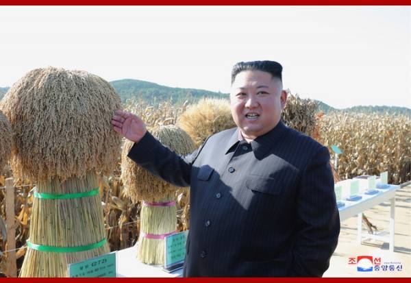 СМИ: Ким Чен Ын работает над документами