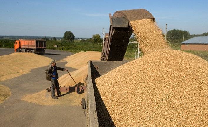 Bloomberg (США): в момент острой необходимости иссякают поставки ведущего мирового производителя пшеницы