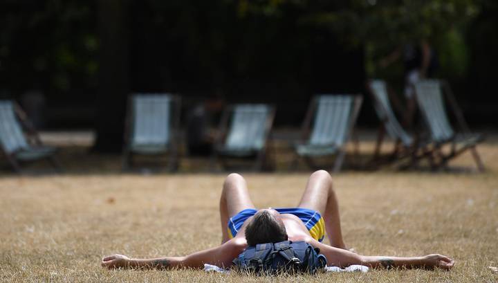 Минприроды: лето-2020 может стать одним из самых жарких в истории