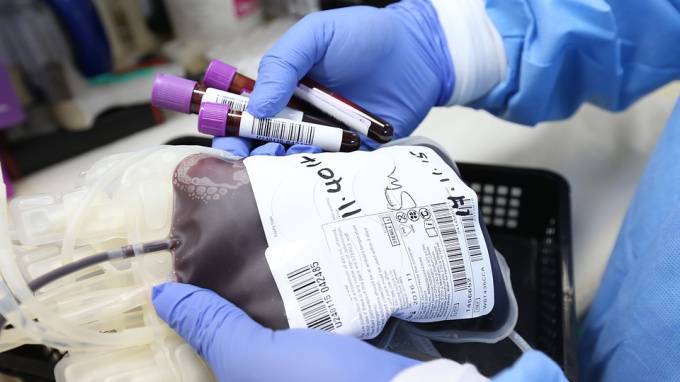 В Петербурге создадут базу доноров крови, которые переболели COVID-19