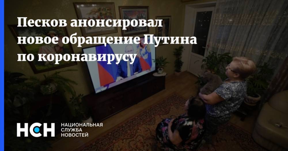 Песков анонсировал новое обращение Путина по коронавирусу