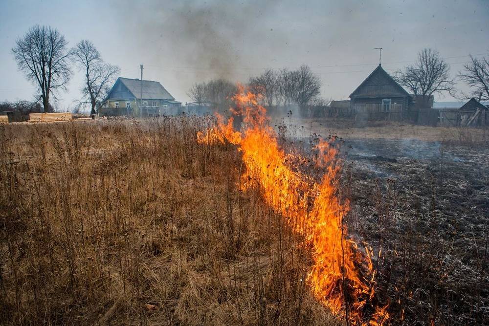 Путин согласился усилить наказание за поджоги после вырубки леса