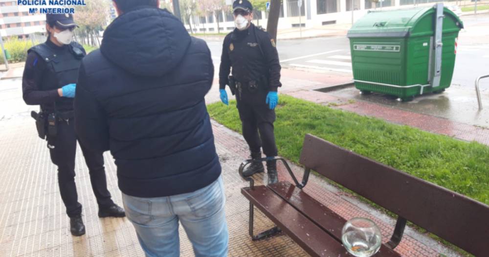 В Испании мужчину задержали за "выгул" золотой рыбки на карантине
