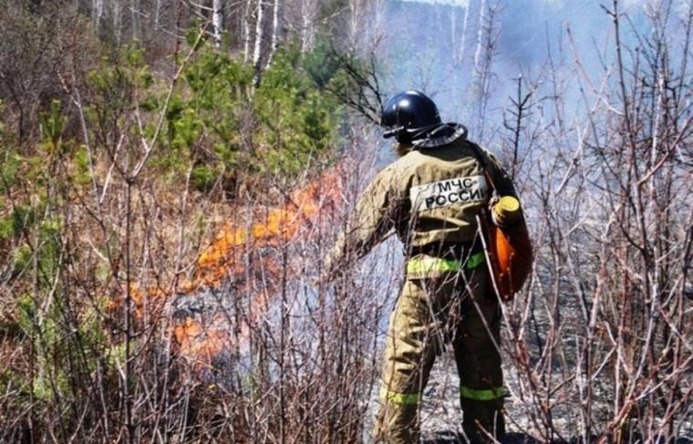 Площадь лесных пожаров в РФ выросла до 60 тысяч гектаров