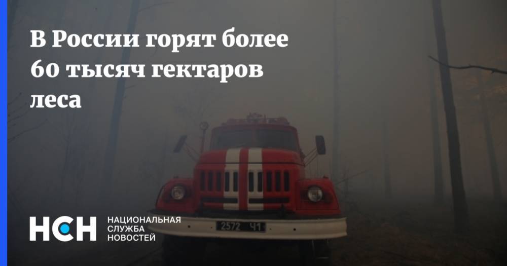 В России горят более 60 тысяч гектаров леса