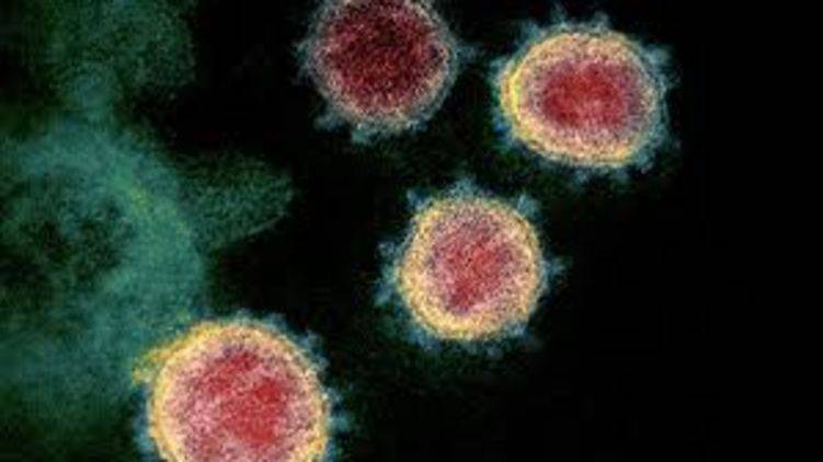 В США количество зараженных коронавирусом превысило миллион