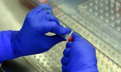 За сутки в регионах «тюменской матрешки» выявили 58 новых зараженных коронавирусом