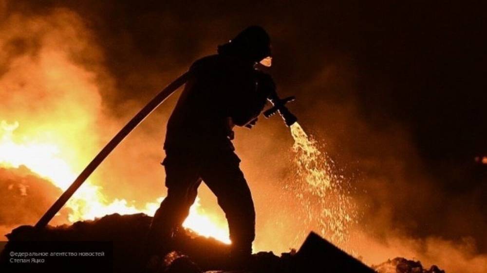 Площадь природных пожаров в России выросла до 60 тысяч га
