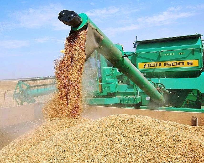 Российской пшеницы стало не хватать