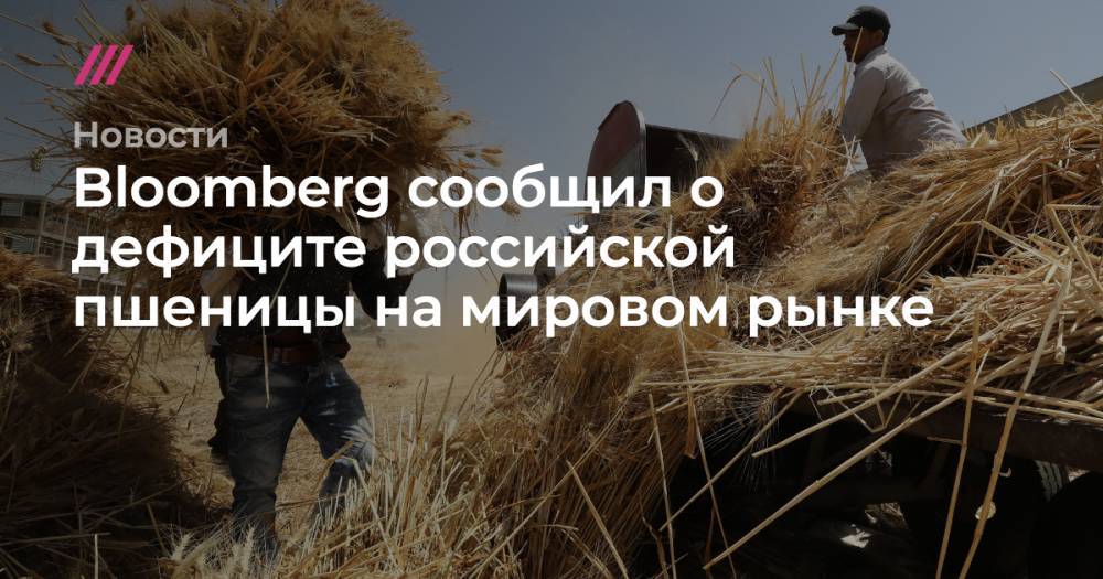 Bloomberg сообщил о дефиците российской пшеницы на мировом рынке