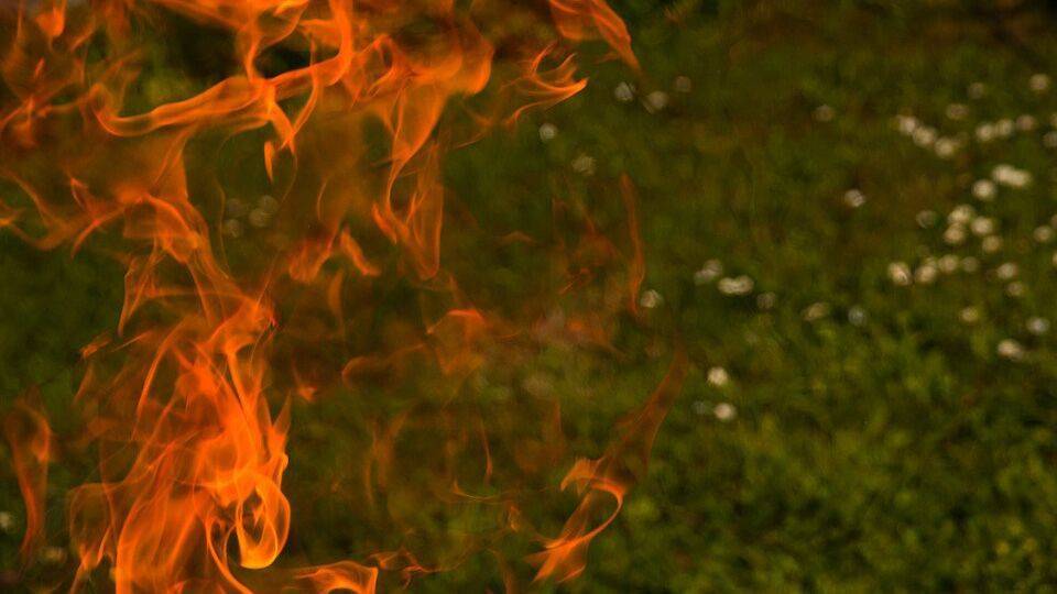 В Ростехе заявили о поставке пиропатронов для борьбы с лесными пожарами