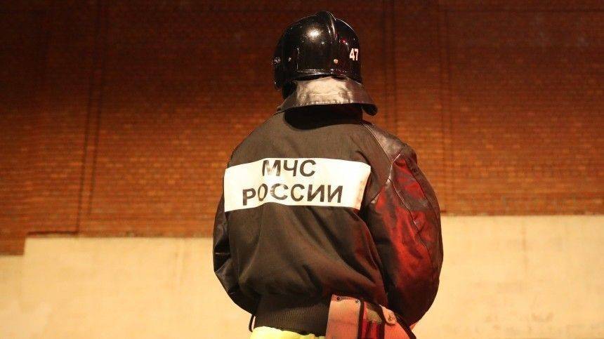Сотрудников МЧС наделили правом штрафовать россиян за нарушение режима самоизоляции