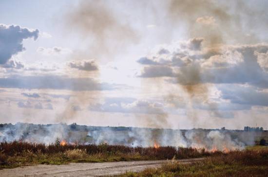 В Иркутской области за сутки ликвидировали 20 лестных пожаров