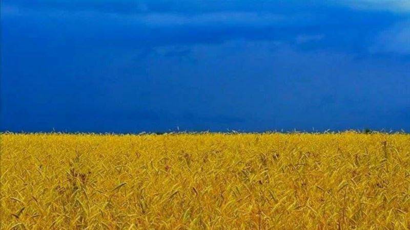 Президент Украины подписал закон о купле-продаже сельскохозяйственной земли