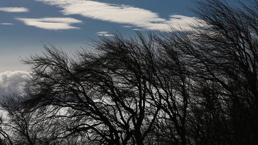 Синоптики предупредили об усилении ветра до 18 м/с в Удмуртии