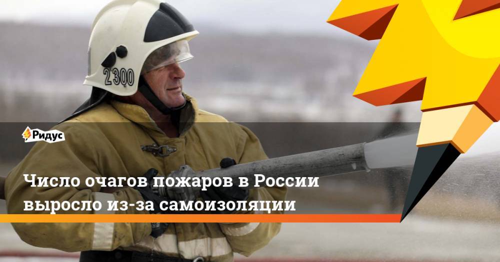 Число очагов пожаров в России выросло из-за самоизоляции