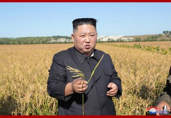 Трамп вновь пожелал всего доброго Ким Чен Ыну