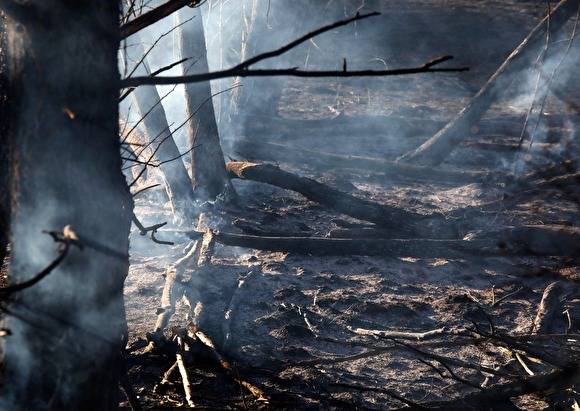 СМИ: чиновники Иркутской области могут быть причастны к возникновению лесных пожаров