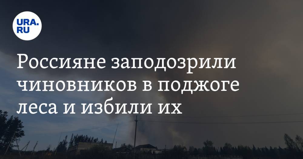 Россияне заподозрили чиновников в поджоге леса и избили их. ВИДЕО