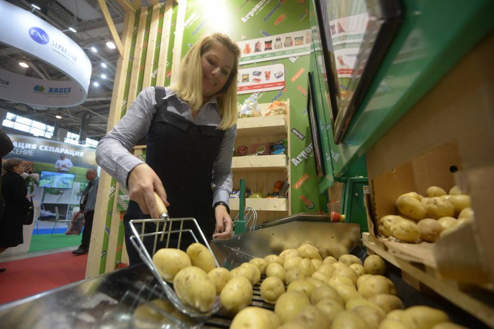 Объем экспорта продукции АПК Москвы увеличился на 19 процентов