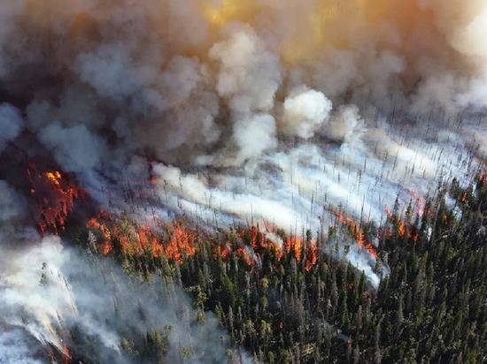 Жители Иркутской области избили чиновников за поджог леса