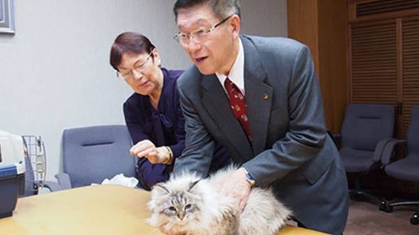 Кота, которого японскому губернатору подарил Путин, посадили на карантин из-за коронавируса