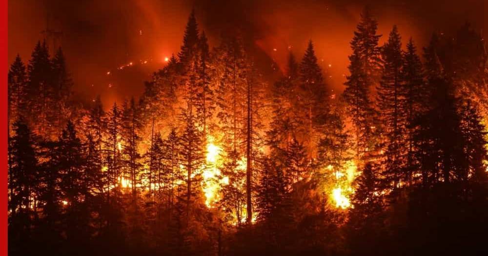 В Сибири местные жители избили чиновников, подозреваемых в поджоге леса