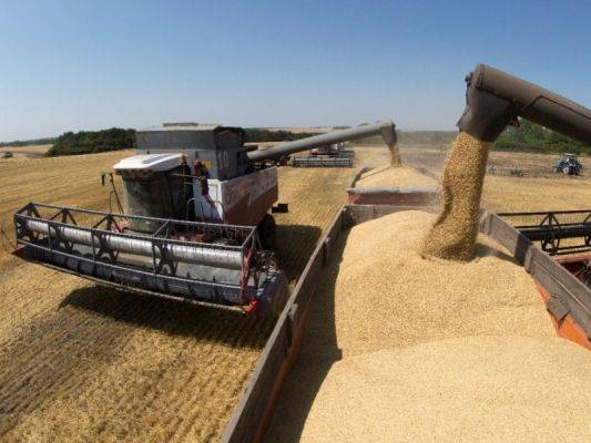 La Croix: Мировому рынку грозит дефицит зерна из России, оно дороже нефти