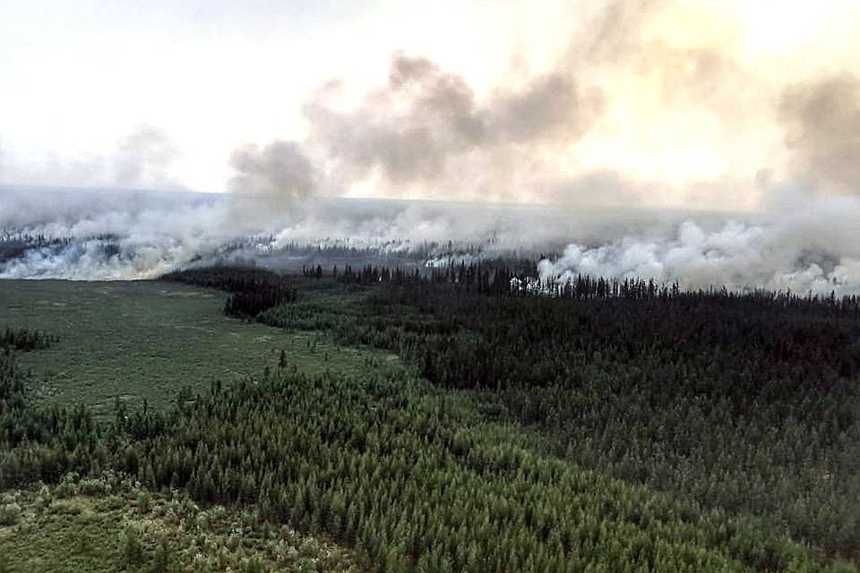 Площадь лесных пожаров в Сибири превысила 25 тысяч гектаров