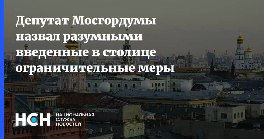 Депутат Мосгордумы назвал разумными введенные в столице ограничительные меры