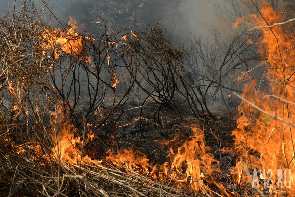 В МЧС назвали самые пожароопасные российские регионы