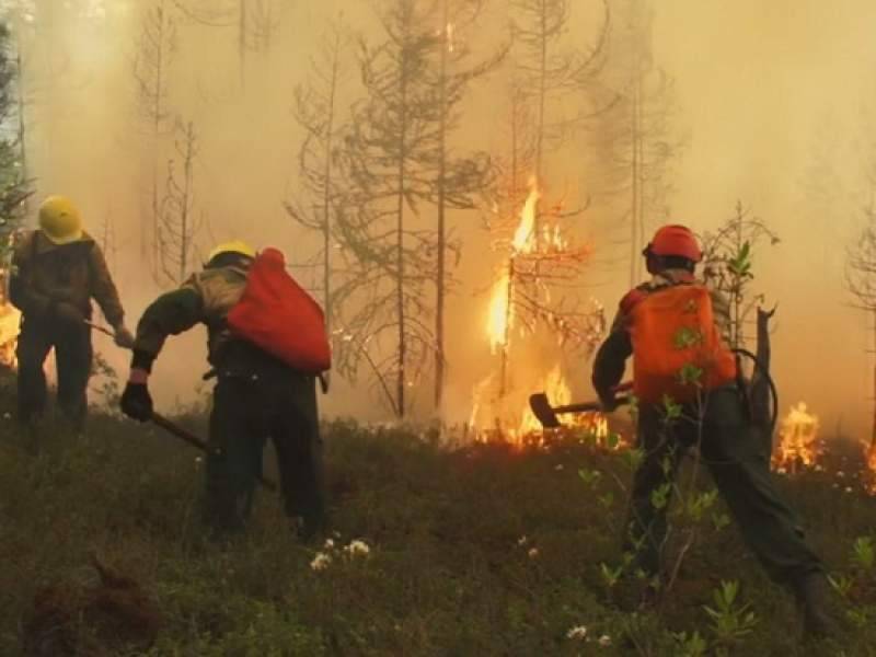 Иркутских чиновников заподозрили в поджоге леса