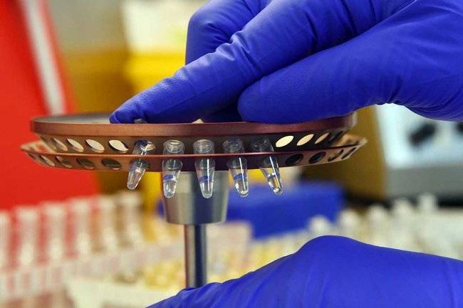 Ученые и миллиардеры США создали секретную группу для борьбы с коронавирусом