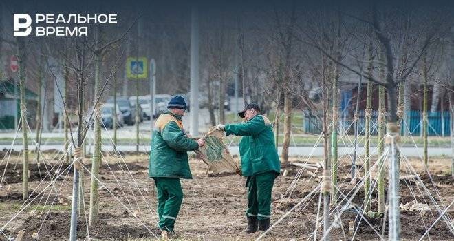 Самоизоляция чуть не сорвала сезон субботников, но очистила воздух в Казани