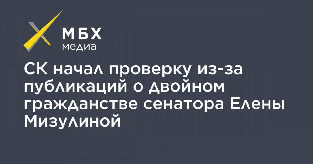 СК начал проверку из-за публикаций о двойном гражданстве сенатора Елены Мизулиной