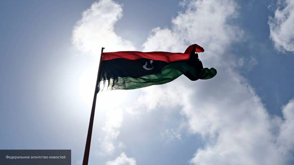 Разногласий между Палатой представителей Ливии и ЛНА нет — Салех