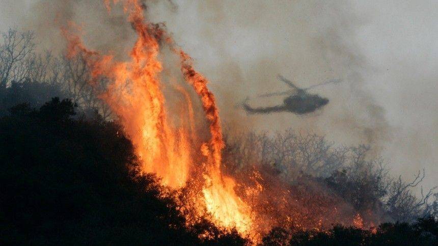 «Будут наказаны»: глава Приангарья о возможном поджоге леса, в котором подозревают чиновников