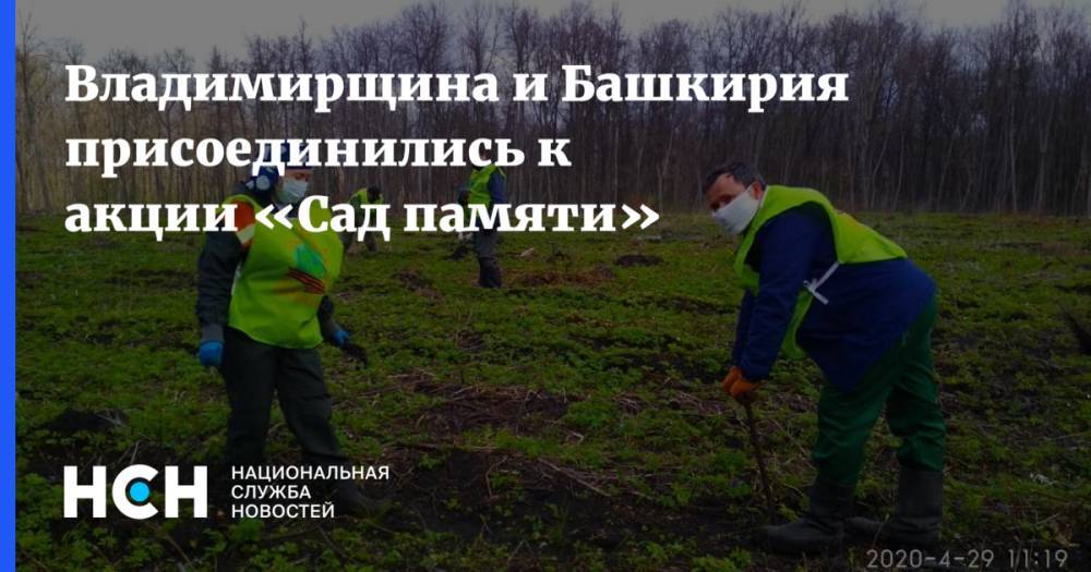 Владимирщина и Башкирия присоединились к акции «Сад памяти»